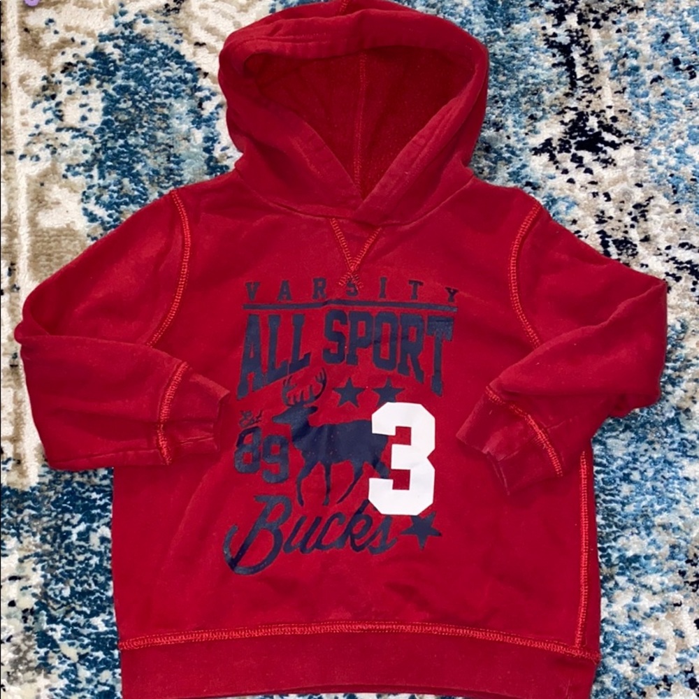 The Childrens Place Hoodie